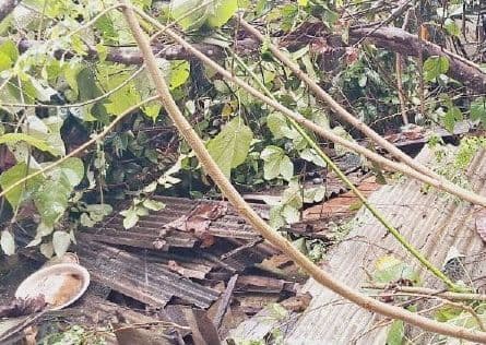 Two houses in Felcra Seri Bandi damaged by landslide