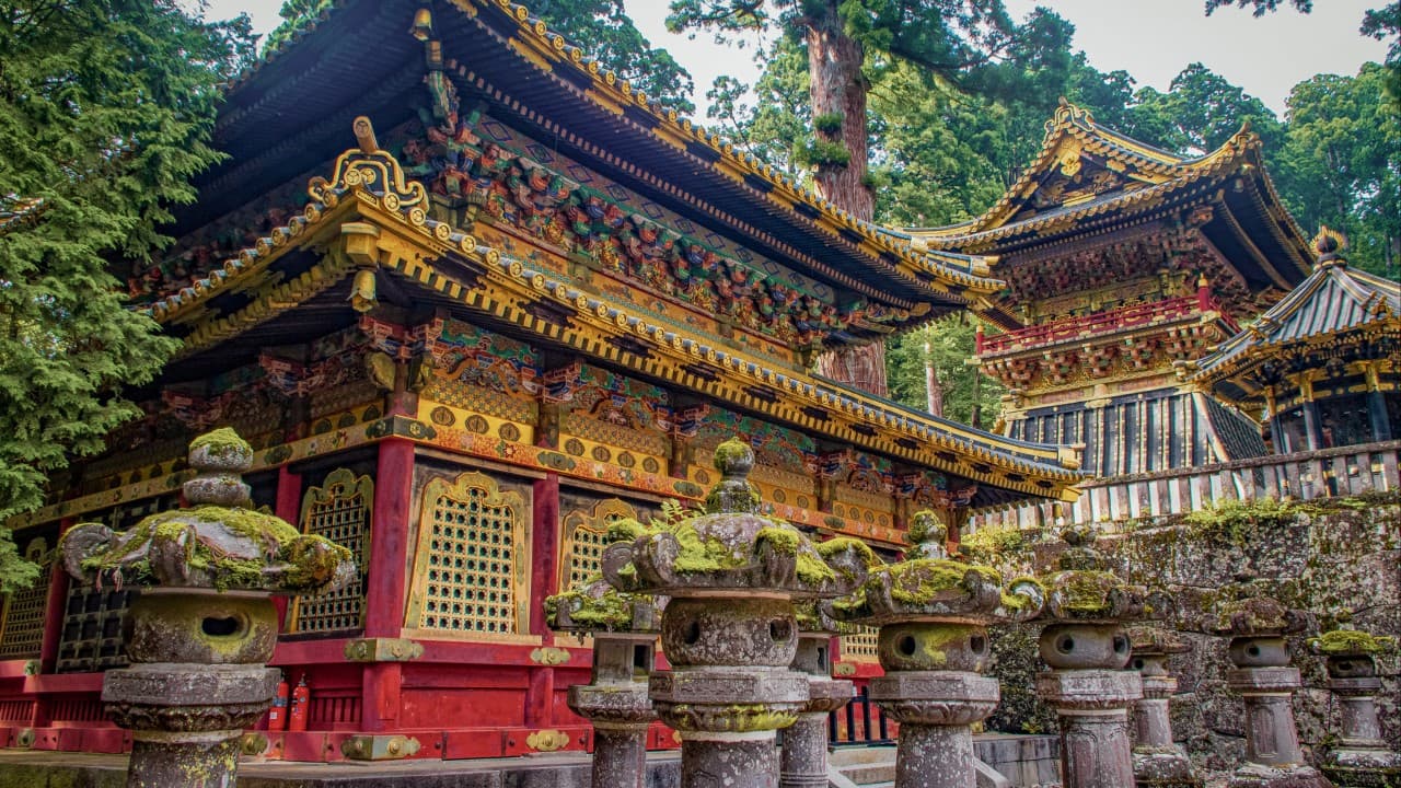 A paper-eating invasive pest could wreak havoc on Japan’s cultural treasures