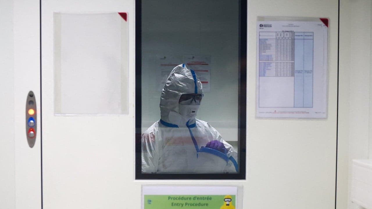 Bird flu could risk pandemic ‘worse than Covid’ if it mutates